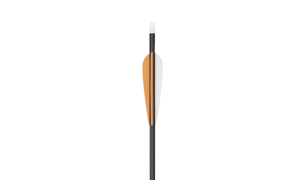 Carbon Arrows